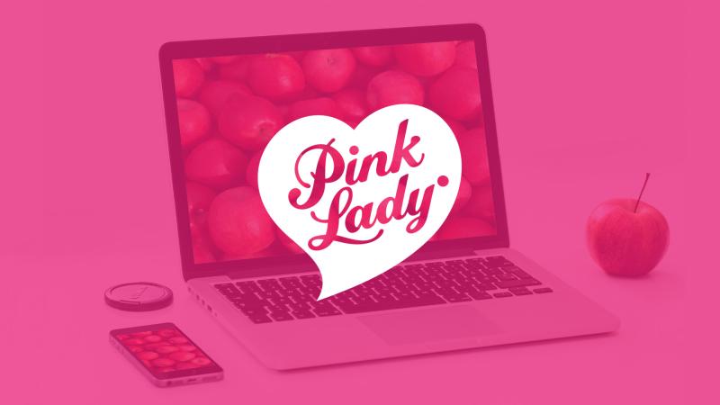 site web pinkmonitoring