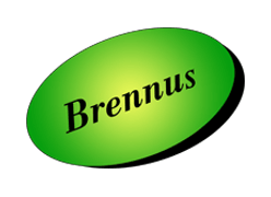 Alarme Vidéosurveillance Brennus sécurité